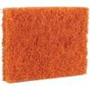 coconut scrubber