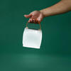 hand holding white Nova Colors on green background