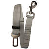 Grey seat belt leash